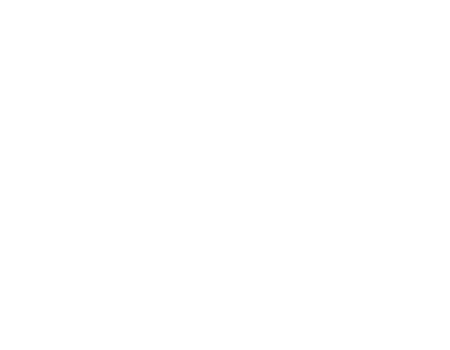 Line drawing Pinzgauer 4x4 canvas 1 5.00 98 white cropped